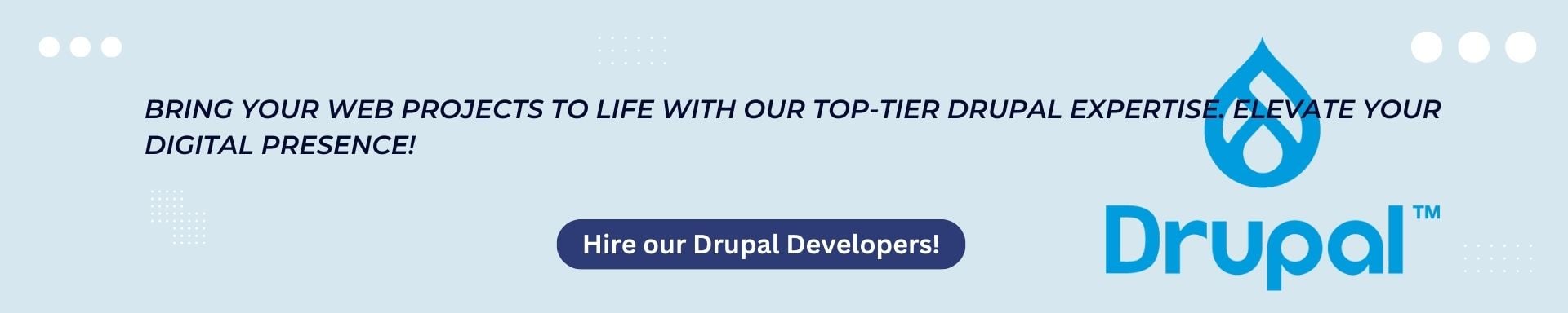 Hire Drupal Developers