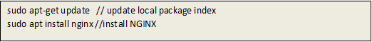 Installing NGINX