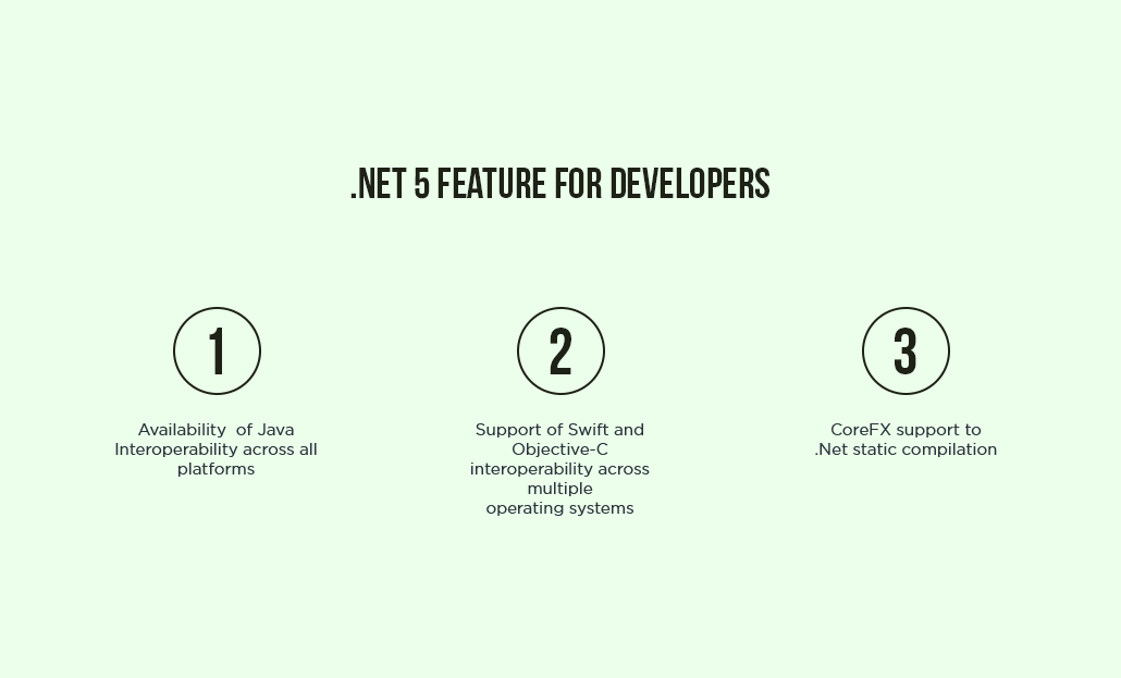 .Net 5 Feature For Developers