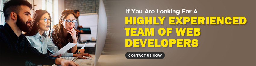 Hire Web Developers