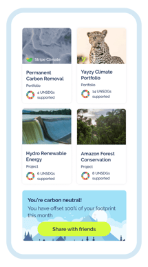 Yayzy Carbon Footprint Monitoring Image 3