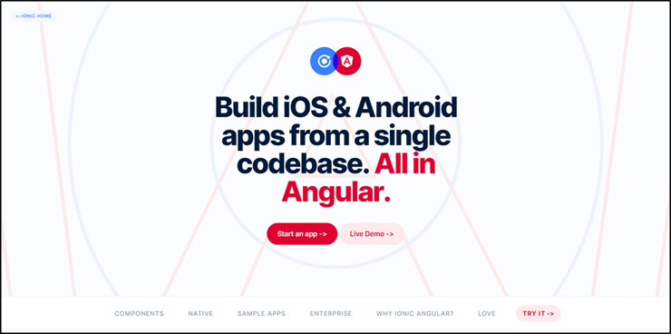 Ionic Angular