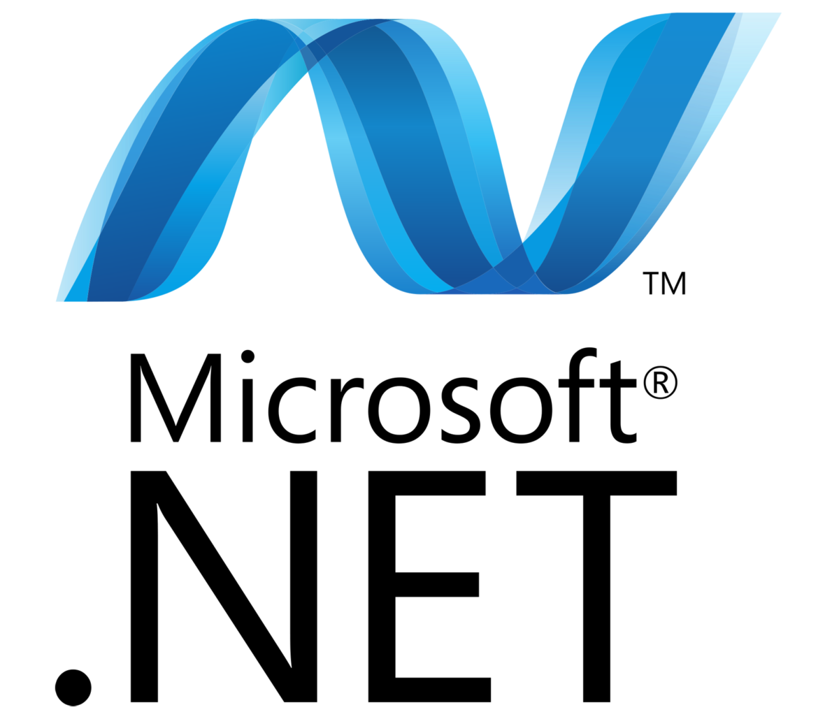 Net.ae Custom .NET Development Services