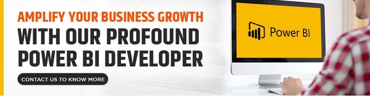 Power BI Developers roles