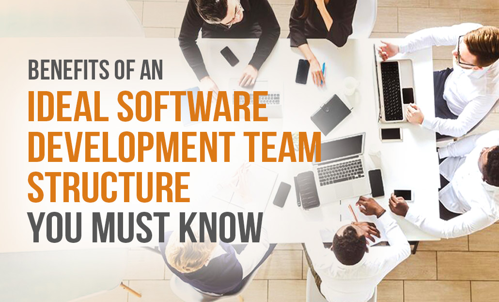 Benefits of an Ideal Software Development Team Structure You Must Know