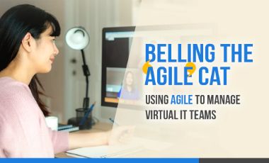 Belling the ‘agile’ cat - using agile to manage virtual IT teams