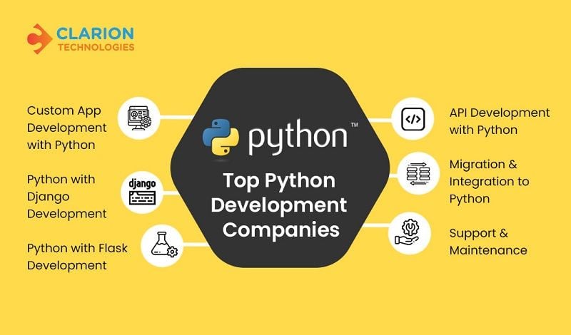 Top 10 Python Development Companies in 2024
