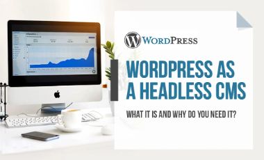 WordPress as a Headless CMS – What it is and why do you need it?