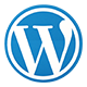 Hire Wordpress Developer