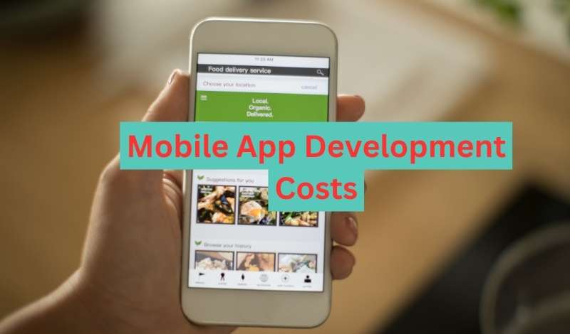 A Guide to Mobile App Development Cost In 2024