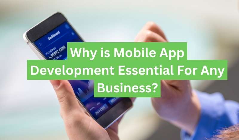 Why Is Mobile App Development Essential for Any Business in 2024?
