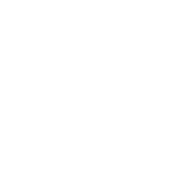 coding (2)