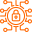Security & IP Protection
