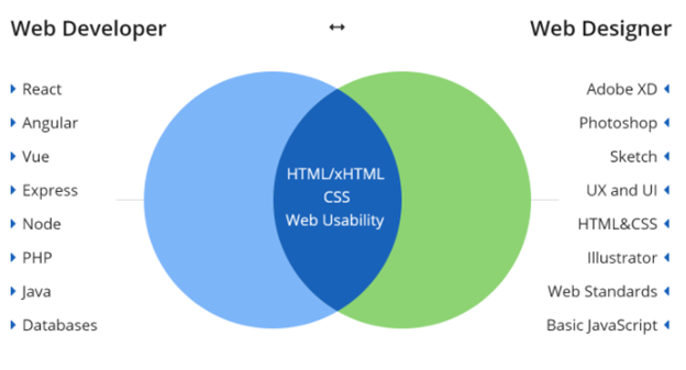 Web Developer or Web Designer?